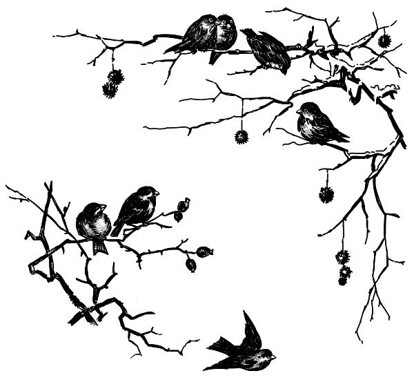 Иллюстрация к книге — Васюткино озеро. С вопросами и ответами для почемучек [i_133.jpg]