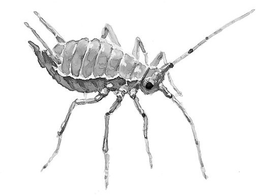 Иллюстрация к книге — Васюткино озеро. С вопросами и ответами для почемучек [i_134.jpg]