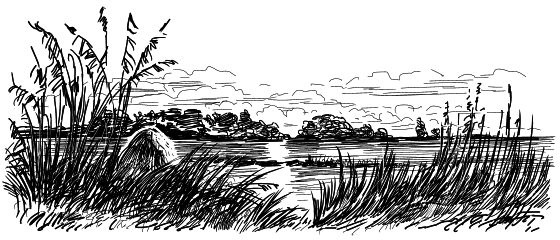 Иллюстрация к книге — Васюткино озеро. С вопросами и ответами для почемучек [i_136.jpg]