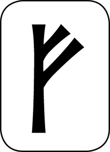 Иллюстрация к книге — Магия рун. Заклинания, талисманы, мудры и гальдор, которые могут все [i_005.jpg]