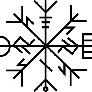 Иллюстрация к книге — Магия рун. Заклинания, талисманы, мудры и гальдор, которые могут все [i_076.jpg]