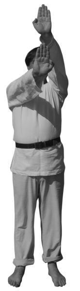 Иллюстрация к книге — Магия рун. Заклинания, талисманы, мудры и гальдор, которые могут все [i_079.jpg]