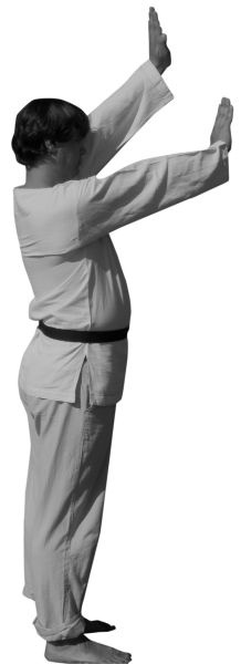 Иллюстрация к книге — Магия рун. Заклинания, талисманы, мудры и гальдор, которые могут все [i_080.jpg]