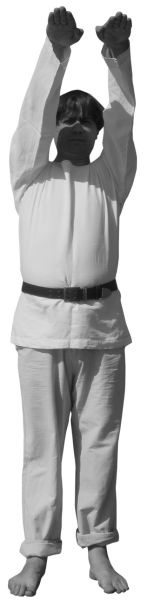 Иллюстрация к книге — Магия рун. Заклинания, талисманы, мудры и гальдор, которые могут все [i_090.jpg]