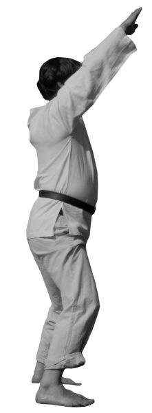 Иллюстрация к книге — Магия рун. Заклинания, талисманы, мудры и гальдор, которые могут все [i_129.jpg]