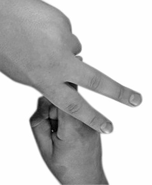 Иллюстрация к книге — Магия рун. Заклинания, талисманы, мудры и гальдор, которые могут все [i_148.jpg]