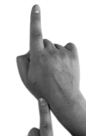 Иллюстрация к книге — Магия рун. Заклинания, талисманы, мудры и гальдор, которые могут все [i_170.jpg]