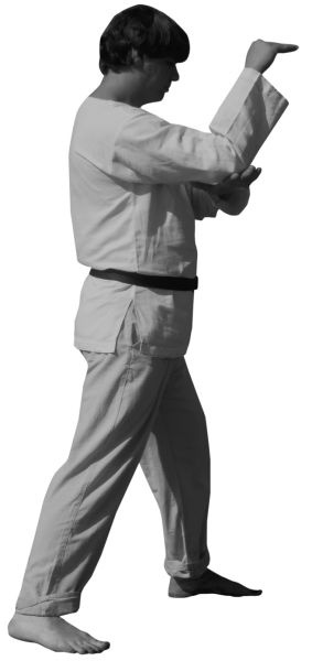 Иллюстрация к книге — Магия рун. Заклинания, талисманы, мудры и гальдор, которые могут все [i_177.jpg]