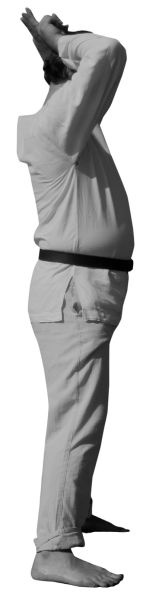 Иллюстрация к книге — Магия рун. Заклинания, талисманы, мудры и гальдор, которые могут все [i_186.jpg]