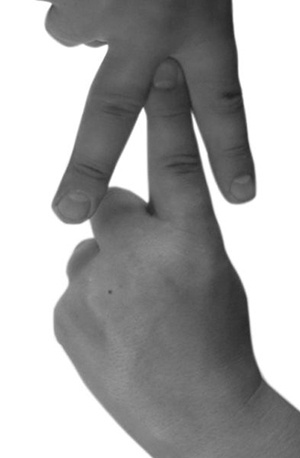 Иллюстрация к книге — Магия рун. Заклинания, талисманы, мудры и гальдор, которые могут все [i_192.jpg]