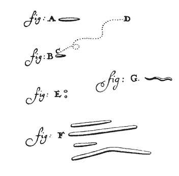 Иллюстрация к книге — Микробы хорошие и плохие. Наше здоровье и выживание в мире бактерий [i_003.jpg]