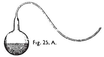 Иллюстрация к книге — Микробы хорошие и плохие. Наше здоровье и выживание в мире бактерий [i_004.jpg]