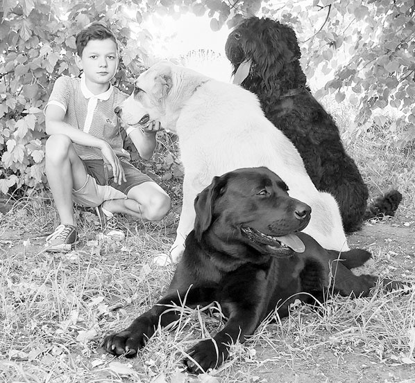 Иллюстрация к книге — Диалог с собакой. Выбираем, воспитываем, дрессируем [i_015.jpg]