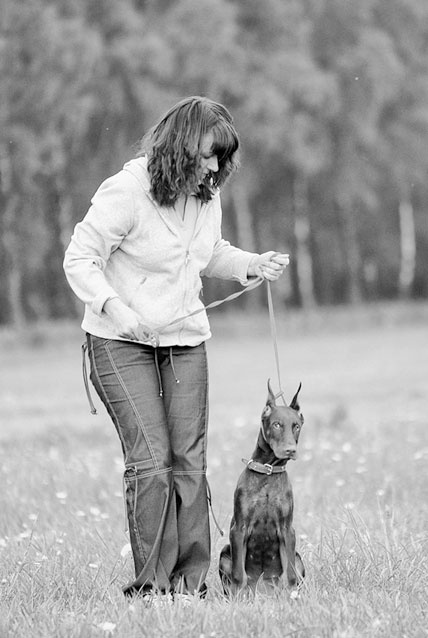 Иллюстрация к книге — Диалог с собакой. Выбираем, воспитываем, дрессируем [i_024.jpg]