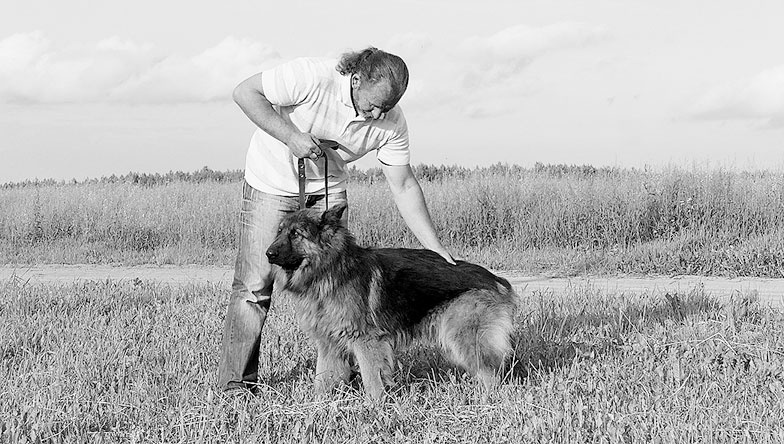 Иллюстрация к книге — Диалог с собакой. Выбираем, воспитываем, дрессируем [i_035.jpg]