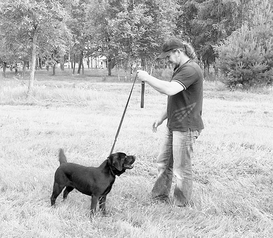 Иллюстрация к книге — Диалог с собакой. Выбираем, воспитываем, дрессируем [i_037.jpg]