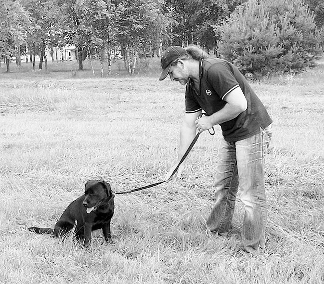 Иллюстрация к книге — Диалог с собакой. Выбираем, воспитываем, дрессируем [i_038.jpg]