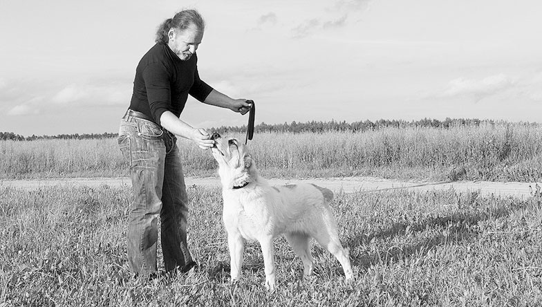 Иллюстрация к книге — Диалог с собакой. Выбираем, воспитываем, дрессируем [i_039.jpg]