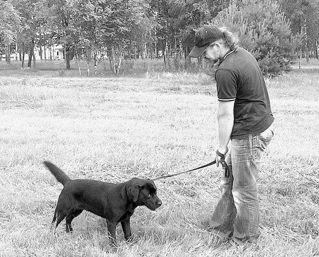 Иллюстрация к книге — Диалог с собакой. Выбираем, воспитываем, дрессируем [i_052.jpg]