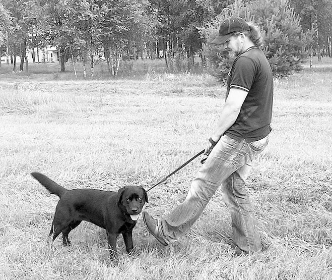 Иллюстрация к книге — Диалог с собакой. Выбираем, воспитываем, дрессируем [i_053.jpg]