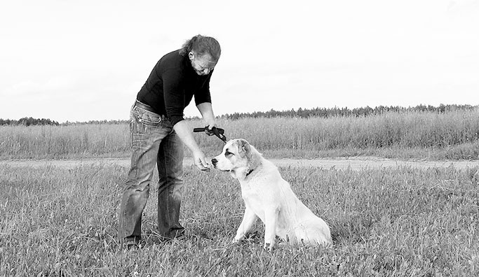 Иллюстрация к книге — Диалог с собакой. Выбираем, воспитываем, дрессируем [i_054.jpg]