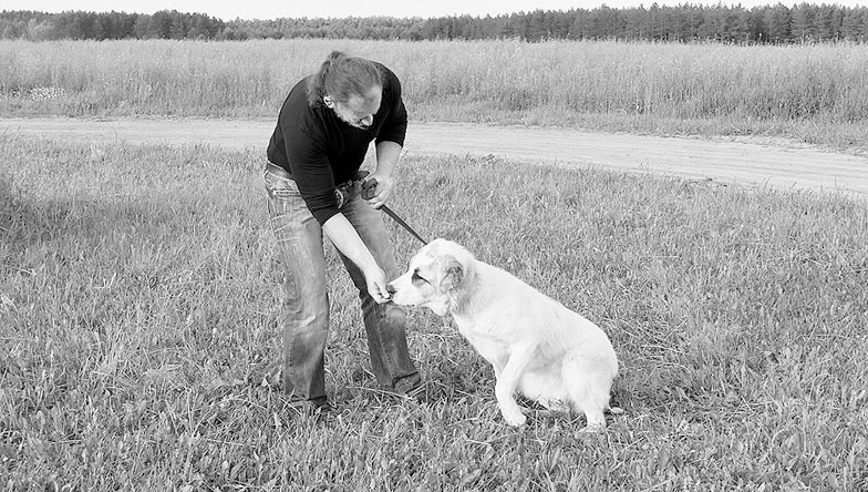 Иллюстрация к книге — Диалог с собакой. Выбираем, воспитываем, дрессируем [i_055.jpg]