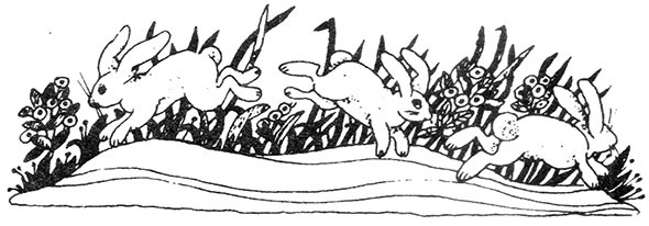 Иллюстрация к книге — Большая книга о разбойнике Грабше [i_010.jpg]