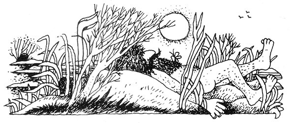 Иллюстрация к книге — Большая книга о разбойнике Грабше [i_014.jpg]