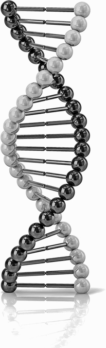 Иллюстрация к книге — Мифы о нашем теле. Научный подход к примитивным вопросам [i_003.jpg]