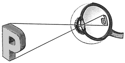 Иллюстрация к книге — Мифы о нашем теле. Научный подход к примитивным вопросам [i_013.jpg]