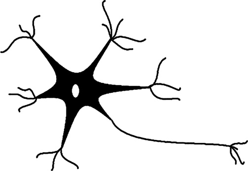 Иллюстрация к книге — Мифы о нашем теле. Научный подход к примитивным вопросам [i_020.jpg]