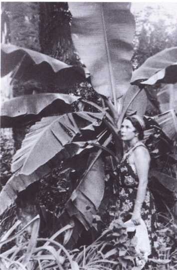 Иллюстрация к книге — Иван Ефремов [i_050.jpg]