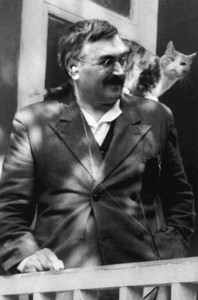 Иллюстрация к книге — Аксель Берг [i_030.jpg]