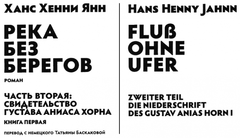 Иллюстрация к книге — Река без берегов. Часть вторая. Свидетельство Густава Аниаса Хорна. Книга первая [i_001.jpg]