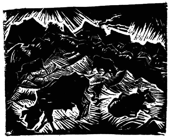 Иллюстрация к книге — Река без берегов. Часть вторая. Свидетельство Густава Аниаса Хорна. Книга первая [i_002.jpg]