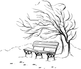 Иллюстрация к книге — Эффект чужого лица [i_017.jpg]