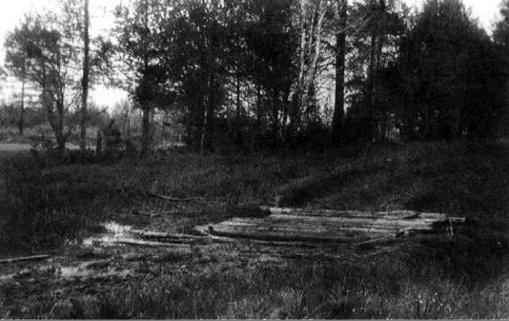 Иллюстрация к книге — Вопросительные знаки в &quot;Царском деле&quot; [_111.jpg]