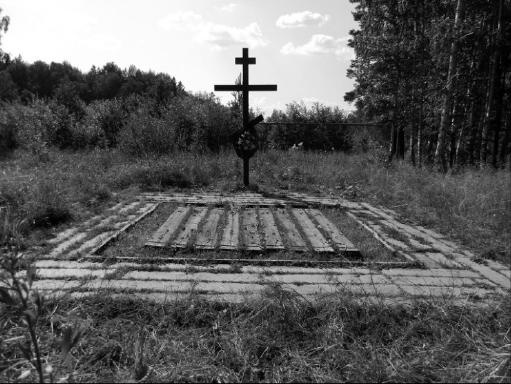 Иллюстрация к книге — Вопросительные знаки в &quot;Царском деле&quot; [_112.jpg]