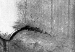 Иллюстрация к книге — Вопросительные знаки в &quot;Царском деле&quot; [_121.jpg]