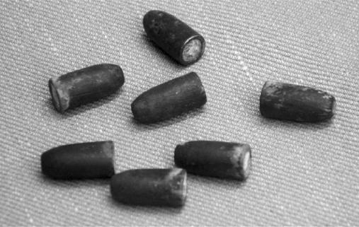 Иллюстрация к книге — Вопросительные знаки в &quot;Царском деле&quot; [_82.jpg]