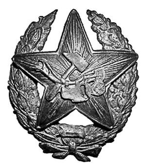 Иллюстрация к книге — Цареубийца. Маузер Ермакова [autogen_ebook_id27.jpg]