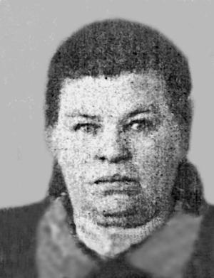 Иллюстрация к книге — Цареубийца. Маузер Ермакова [autogen_ebook_id59.jpg]