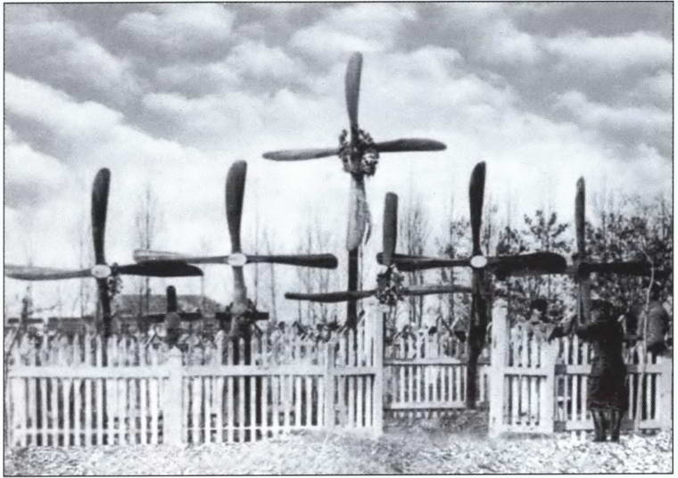 Иллюстрация к книге — Выбираю таран [i_042.jpg]