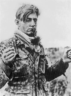 Иллюстрация к книге — Командиры "Лейбштандарта" [i_059.jpg]