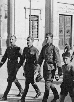 Иллюстрация к книге — Командиры &quot;Лейбштандарта&quot; [i_062.jpg]