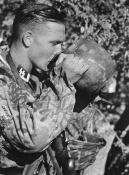 Иллюстрация к книге — Командиры элитных частей СС [ss_sturmann.jpg]