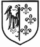 Иллюстрация к книге — Командиры национальных формирований СС [i_011.jpg]