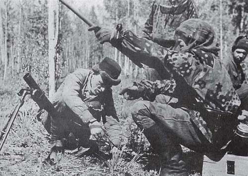 Иллюстрация к книге — Командиры национальных формирований СС [i_053.jpg]