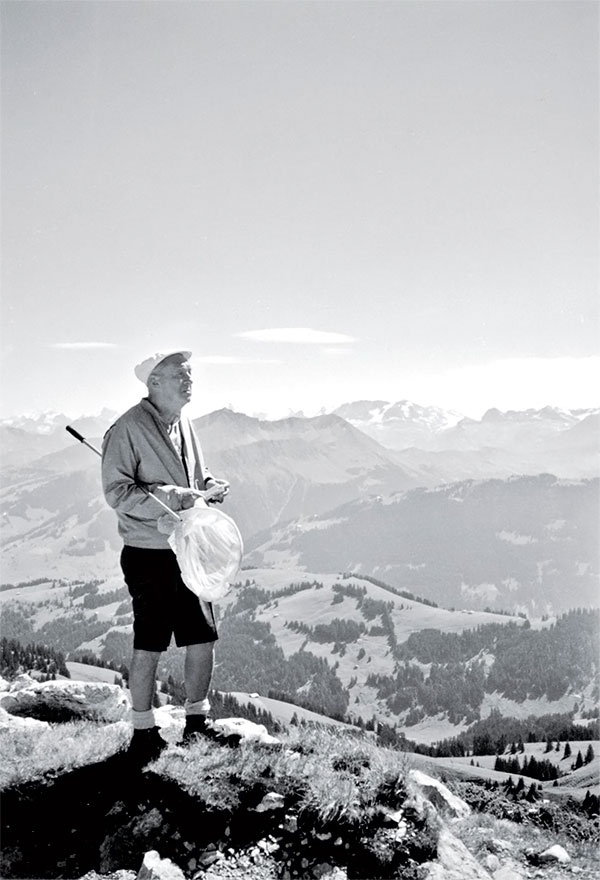 Иллюстрация к книге — Волшебник. Набоков и счастье [autogen_ebook_id1.jpg]