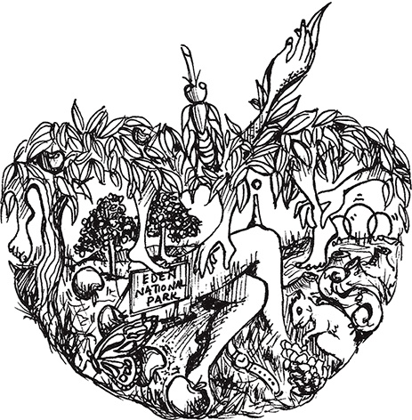 Иллюстрация к книге — Волшебник. Набоков и счастье [autogen_ebook_id13.jpg]